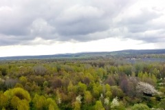 2016-04-24-Koenigsbruecker-Heide