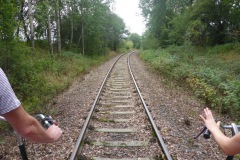 2019-08-10-Sachsendraisine-bei-Rossendorf
