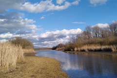 2020-03-01-Grossteich-Moritzburg