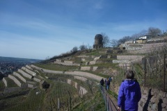 2020-03-15-Weinberge-bei-Radebeul